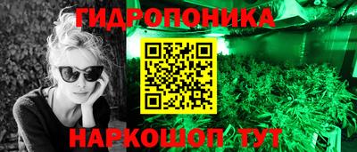 Альфа ПВП Кимры
