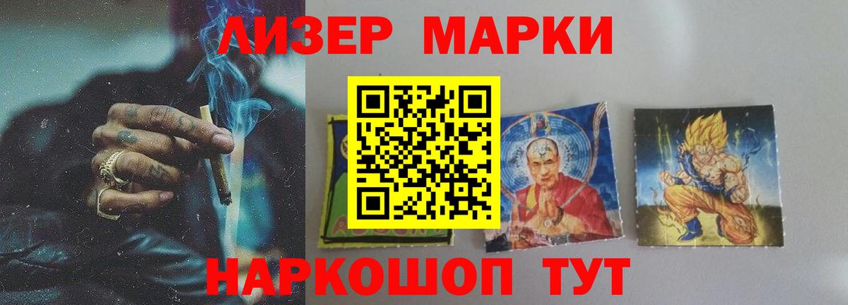 COCAIN Кудрово
